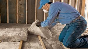 Best Insulation for New Construction  in Westernport, MD