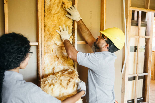 Best Reflective Insulation  in Westernport, MD