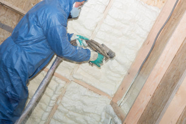 Best Wall Insulation Installation  in Westernport, MD