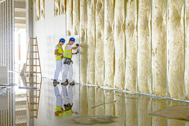 Best Pipe and Duct Insulation  in Westernport, MD